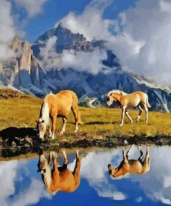 Haflinger Horses Water Reflection Paint By Numbers