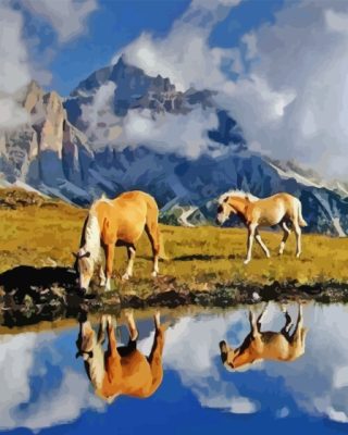 Haflinger Horses Water Reflection Paint By Numbers