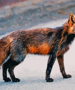 Melanistic Fox Animal Paint By Numbers