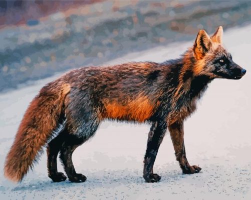 Melanistic Fox Animal Paint By Numbers