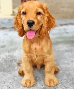 Miniature Golden Retriever Paint By Numbers