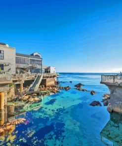 Monterey Bay Aquarium View Paint By Numbers
