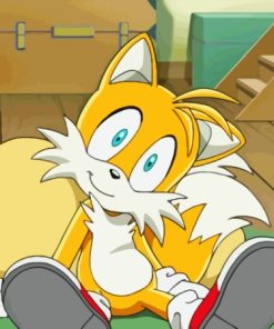Tails The Hedgehog Comic Book Character Paint By Numbers