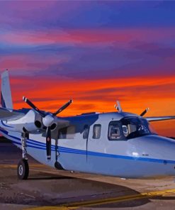 Twin Commander Aircraft At Sunset Paint By Numbers