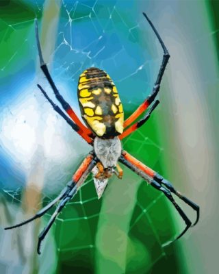 Golden Garden Spider Paint By Numbers