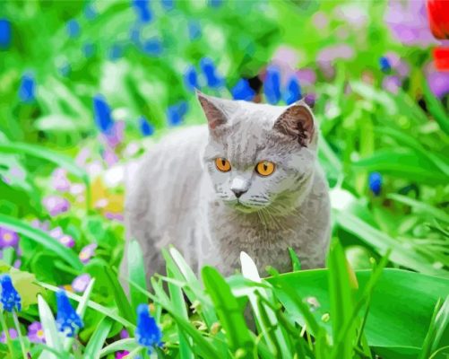 Grey Cat In A Garden Paint By Numbers