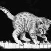 Monochrome Cat On Piano Paint By Numbers
