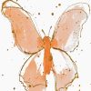 Peach Butterfly Splatter Art Paint By Numbers