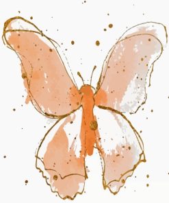 Peach Butterfly Splatter Art Paint By Numbers