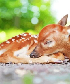 Sleepy Resting Deer Paint By Numbers