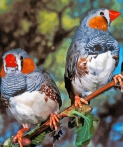 Zebra Finch Paint By Numbers