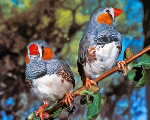 Zebra Finch Paint By Numbers