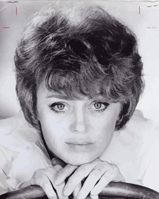 Actress Rue Mcclanahan Paint By Numbers