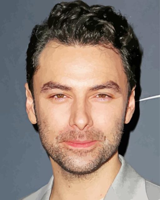 Aidan Turner Irish Actor Paint By Numbers