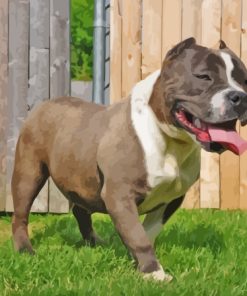 American Bully Dog Paint By Numbers