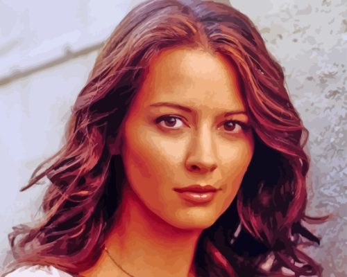 Amy Acker Paint By Numbers