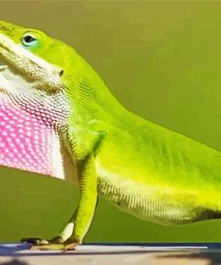 Anole Green Lizard Paint By Numbers
