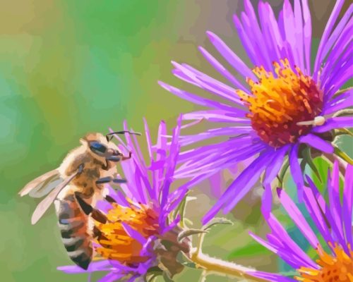 Bee On Purple Flowers Paint By Numbers