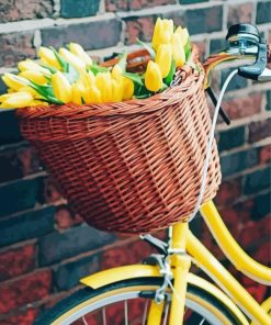 Bicycle And Tulips Flowers Paint By Numbers