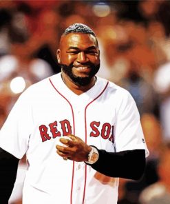 Big Papi Paint By Numbers