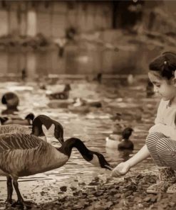 Black And White Girl With Geese Paint By Numbers