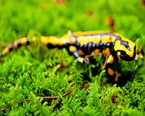 Black And Yellow Salamander Reptile Paint By Numbers