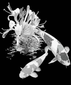 Black And White Koi Fishes Paint By Numbers