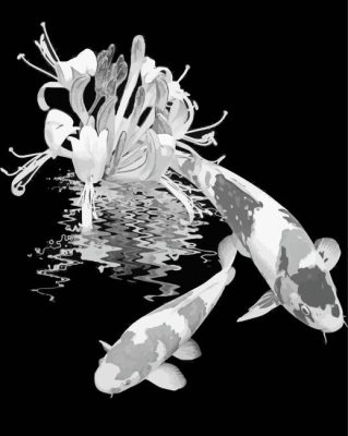 Black And White Koi Fishes Paint By Numbers