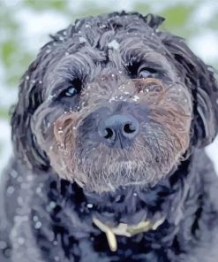 Black Goldendoodle In Snow Paint By Numbers