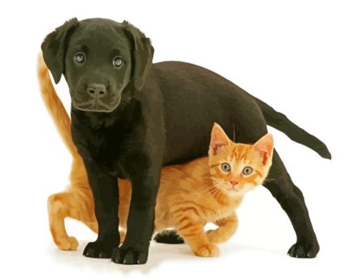 Black Lab And Cat Paint By Numbers