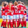 Charlton Athletic Fc Female Team Paint By Numbers