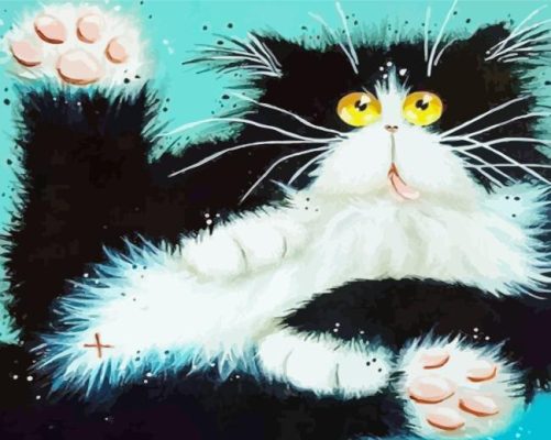 Fluffy Frightened Cat Paint By Numbers