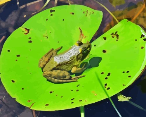 Frog On Water Lily Pad Paint By Numbers