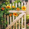 Garden Gate Sunflowers Paint By Numbers