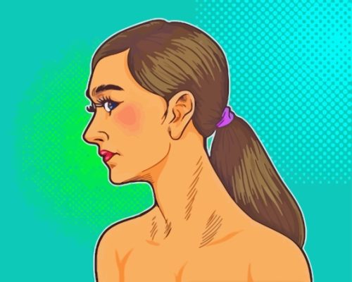 Girl With Ponytail Pop Art Paint By Numbers