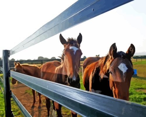 Horses Behind Fence Paint By Numbers