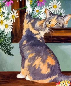 Kitten In The Mirror Paint By Numbers