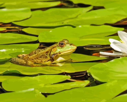 Little Frog On Lily Pad Paint By Numbers