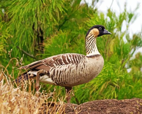 Nene Goose Paint By Numbers