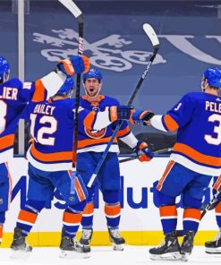 New York Islanders Ice Hockey Paint By Numbers