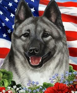 Norwegian Elkhound Paint By Numbers