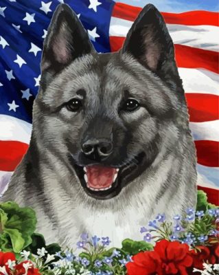 Norwegian Elkhound Paint By Numbers