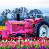 Pink Tractor In Flowers Field Paint By Numbers