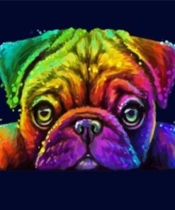 Rainbow Pug Art Paint By Numbers