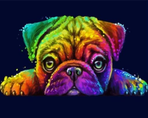 Rainbow Pug Art Paint By Numbers