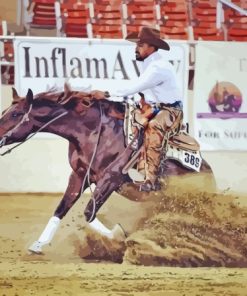 Reining Quarter Horse Paint By Numbers