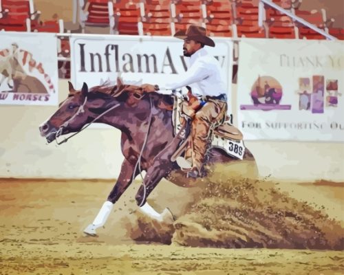 Reining Quarter Horse Paint By Numbers