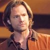Sam Winchester Character Paint By Numbers