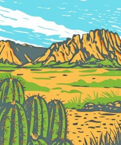 Texas Big Bend National Park Paint By Numbers
