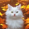White Cat In Fall Paint By Numbers